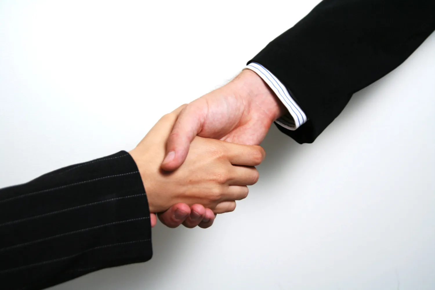 Professional Handshake