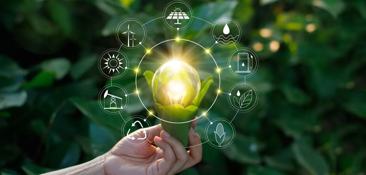 Futuristic Projects in these sectors: Pharma, Food, Chemical, Poultry, Packaging, and Environmental Solutions