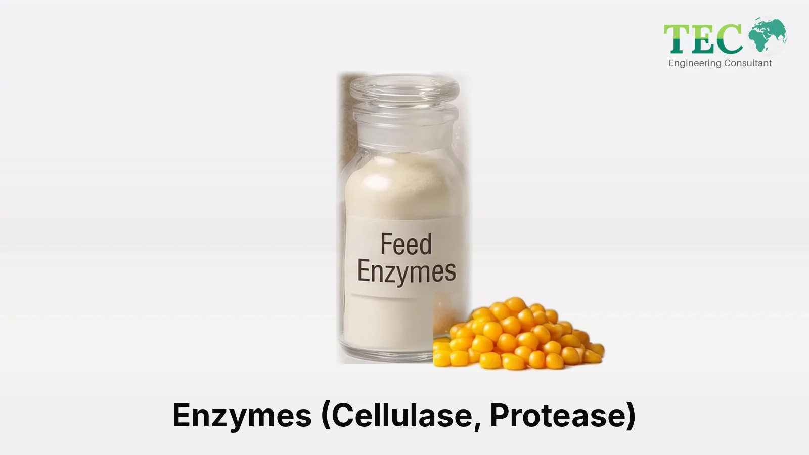 Enzymes (Cellulase, Protease)