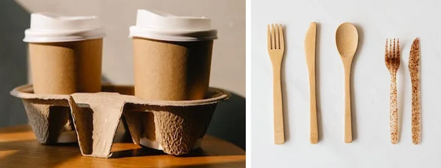 Disposable Tableware