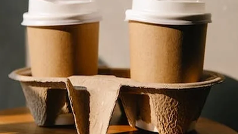 starch-based biodegradable plastic manufacturing